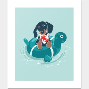 Summer pool pawty // aqua background dachshund dog breed in vacation playing on swimming pool Posters and Art